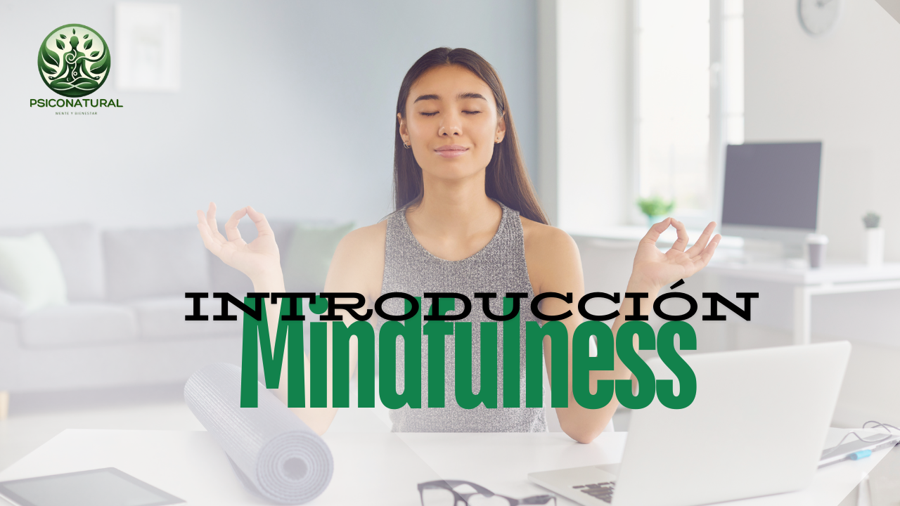Introducción al Mindfulness